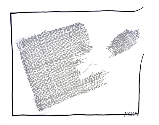 Die letzte Zeichnung an der Dr. med. Anna Regula Hartmann-Allgöwer bis zu ihrem Tod gearbeitet hat.