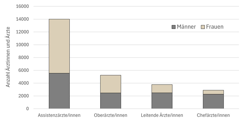 Anzahl Ärztinnen und Ärzte nach Funktion und Geschlecht im Spitalsektor, 2024 