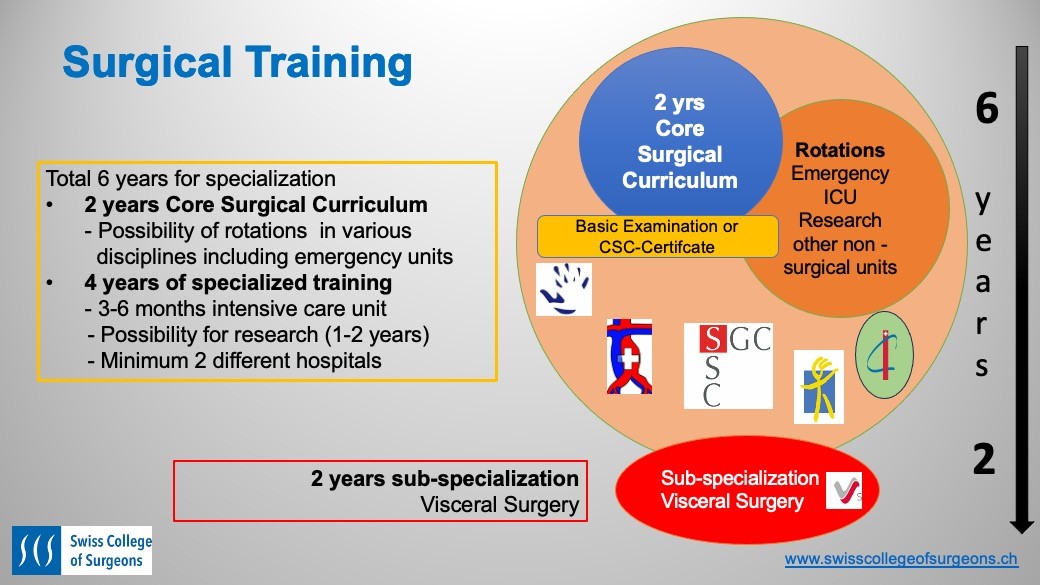 Abb 1: Weiterbildungsweg zum Facharzttitel einer im SCS angeschlossenen Fachgesellschaft. 