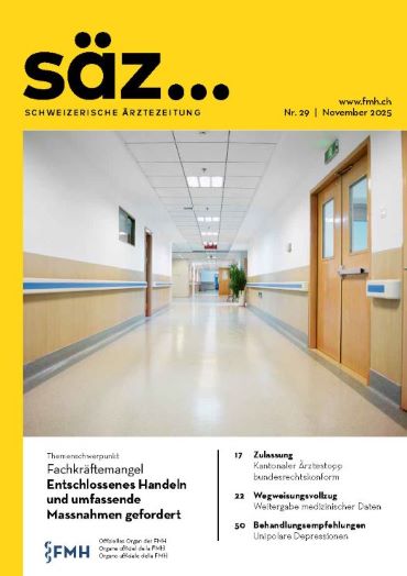 Aktuelle Publikation <br />#29 12.11.2025